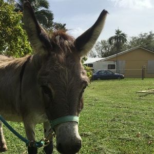 Meet your Posher, Maria